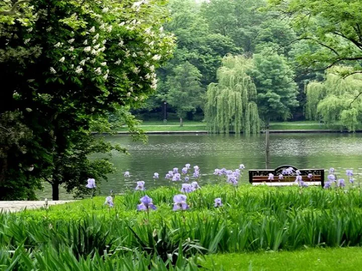 Insula Trandafirilor din parcul Herăstrău. Povestea locului în care Bucureștiul regal s-a întâlnit cu propaganda lui Stalin