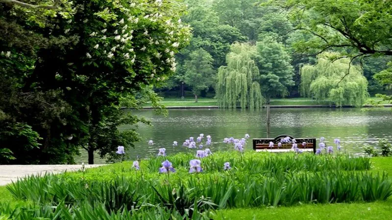 Insula Trandafirilor din parcul Herăstrău. Povestea locului în care Bucureștiul regal s-a întâlnit cu propaganda lui Stalin