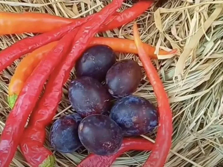 Sos rustic de prune cu ardei iute. Rețeta care transformă prunele într-un dressing perfect pentru friptură