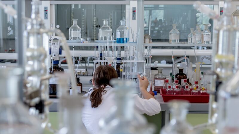 Un medic român de la Stanford a crescut țesut cerebral uman în șoareci. Ce ar putea însemna pentru autism, epilepsie și alte boli