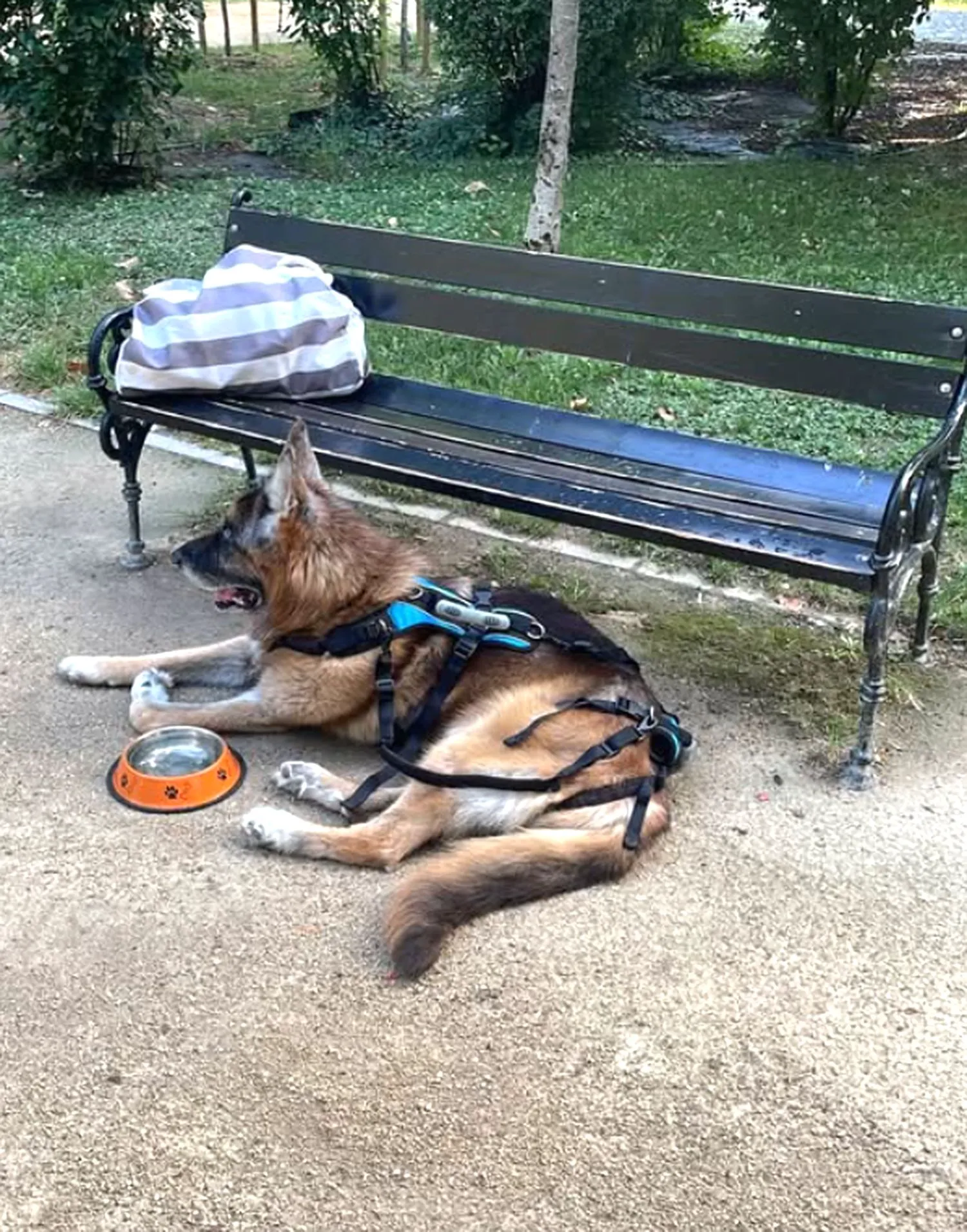 Ce lecție i-a dat regizoarea Lia Bugnar unui polițist, într-un parc pustiu. „A clacat…” 2 Ce lecție i-a dat regizoarea Lia Bugnar unui polițist. „A clacat…”