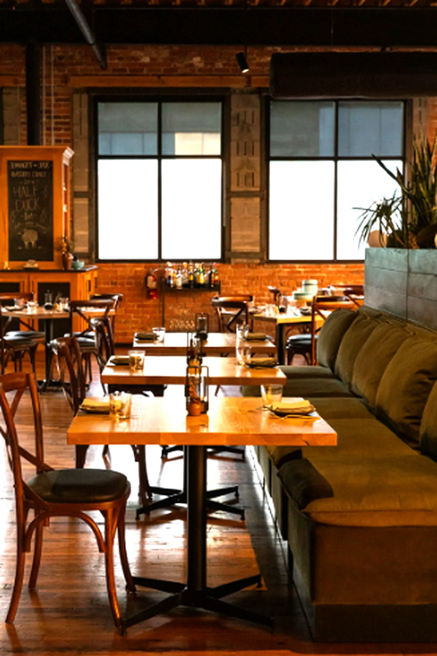 Bancuri. Scufița Roșie mergea cântând prin pădure la bunica ei. Deodată, dintr-un tufiș, aude... 2 restaurant