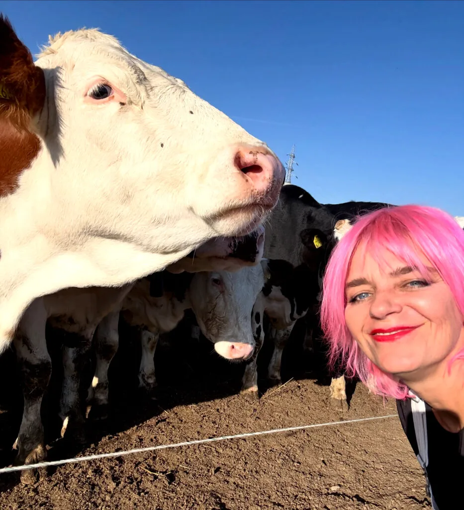 Gianina Corondan revine la TVR. Sâmbăta va face „Vizită de lucru” în universul culinar românesc 2 Gianina Corondan va merge în vizită și la producătorii locali
