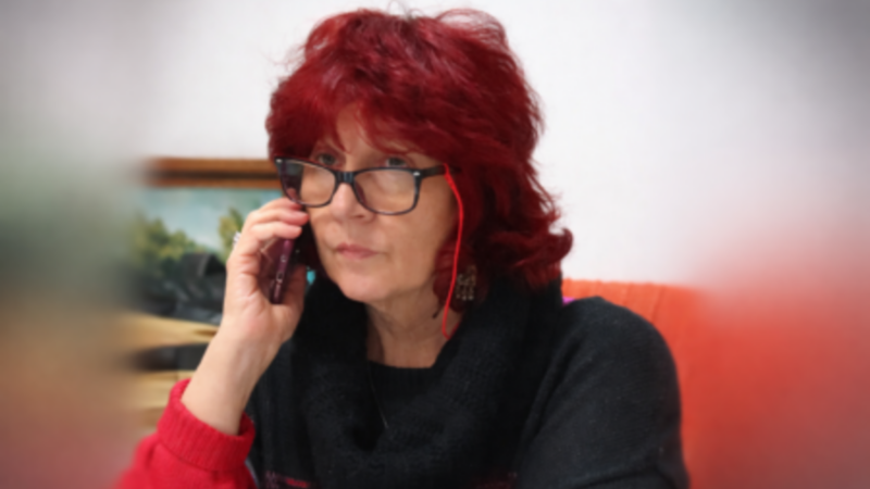 Simona Ionescu: Iepurașul și pitonul. Georgiștii și „Ferma animalelor”