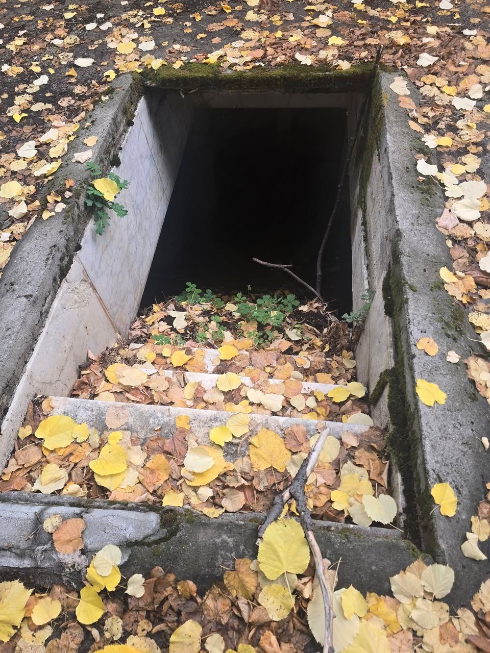 Scandal la Cimitirul Bellu! Piatră funerară din dinastia Brătianu, aruncată la gunoi printre sticle de bere. Exclusiv 2 Scandal la Cimitirul Bellu! Piatră funerară din dinastia Brătianu, aruncată la gunoi printre sticle de bere. Exclusiv