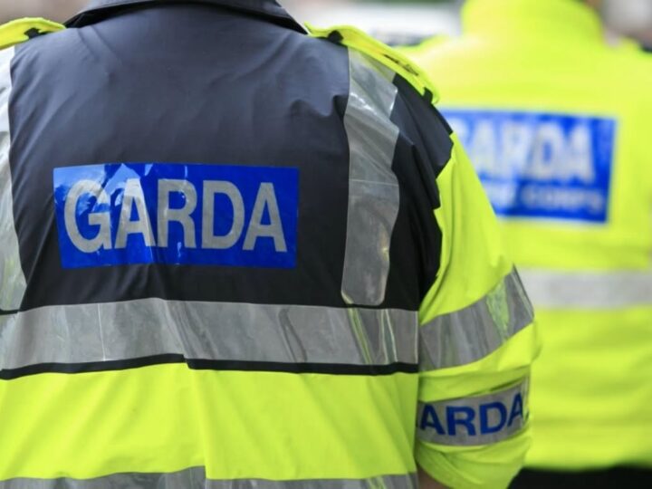 Irlanda ne-a trimis în țară un avion cu infractori români. Nu mai vrea să-i hrănească în pușcăriile lor!